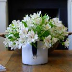 乐鱼全站使用指南:轻松注册与畅玩各类体育项目 6622k1