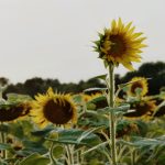 乐玩国际:带你领略世界各地的独特娱乐体验 ihg456s0