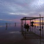 九州娱乐平台:带你领略最新游戏趋势与玩法攻略 ld7s13ml06