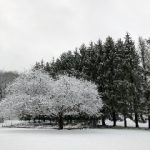 乐豪发娱乐的安全性与用户体验如何保障? rba6a