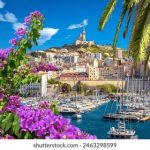 九游娱乐官方平台:畅享多样化游戏体验的最佳选择 tor1p