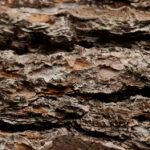 17074期大乐透开奖结果公布,大奖花落谁家? 1mvjj