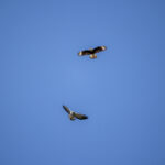 360电视在线直播免费高清观看平台 2ba6eh