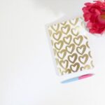 168赛鸽直播平台:实时竞翔,见证冠军诞生时刻 2lnhtkzn9