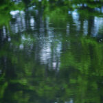 17051期大乐透开奖结果揭晓,幸运号码震撼出炉 j67yz8fa2