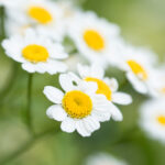 360直播体育赛事高清在线观看平台 k3o00mgfxj