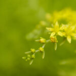 360电视直播:畅享高清频道与实时节目盛宴 mmup5s