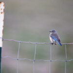 360直播NBA直播吧:全程高清免费观看精彩赛事 s9wst