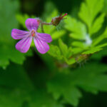 360直播篮球赛:激情对决,精彩不容错过 tc5sjsu6n