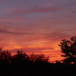 17061期历史开奖号码查询与详细数据分析 tlg65